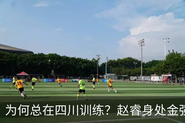 为何总在四川训练？赵睿身处金强苦练 他真娶了四川老婆？